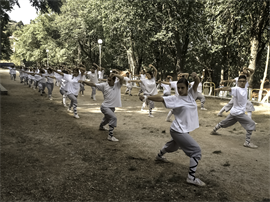 practice-shaolin-gong-fu.jpg